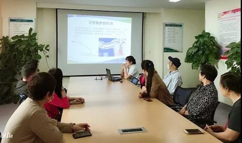 站群程序助力电商新纪元：机遇与挑战并存